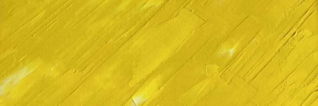 Yuki Torii(トリイ) banner