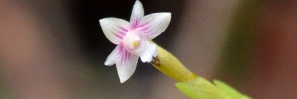 miq2501 Profile Banner