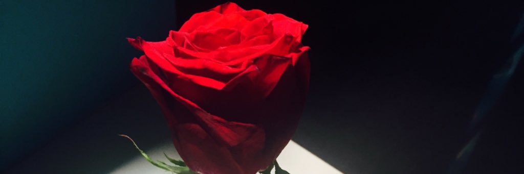 Ghina_112's profile banner image