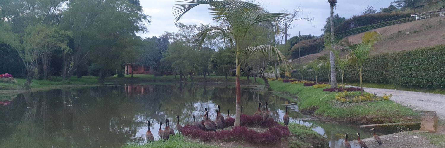 duque_duque's profile banner image