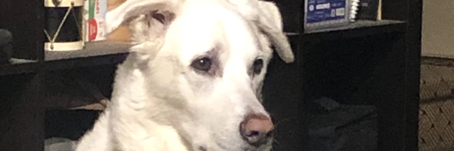 jeffchynoweth's profile banner image