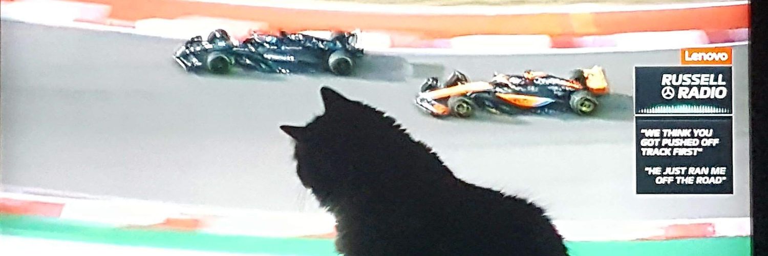 MsKarinAhlgren's profile banner image