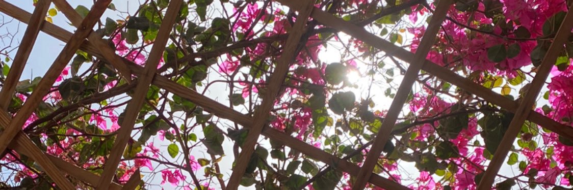 memialthani's profile banner image