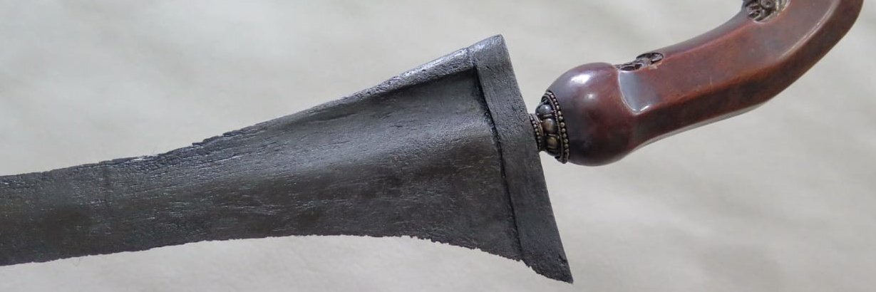 rpnm banner
