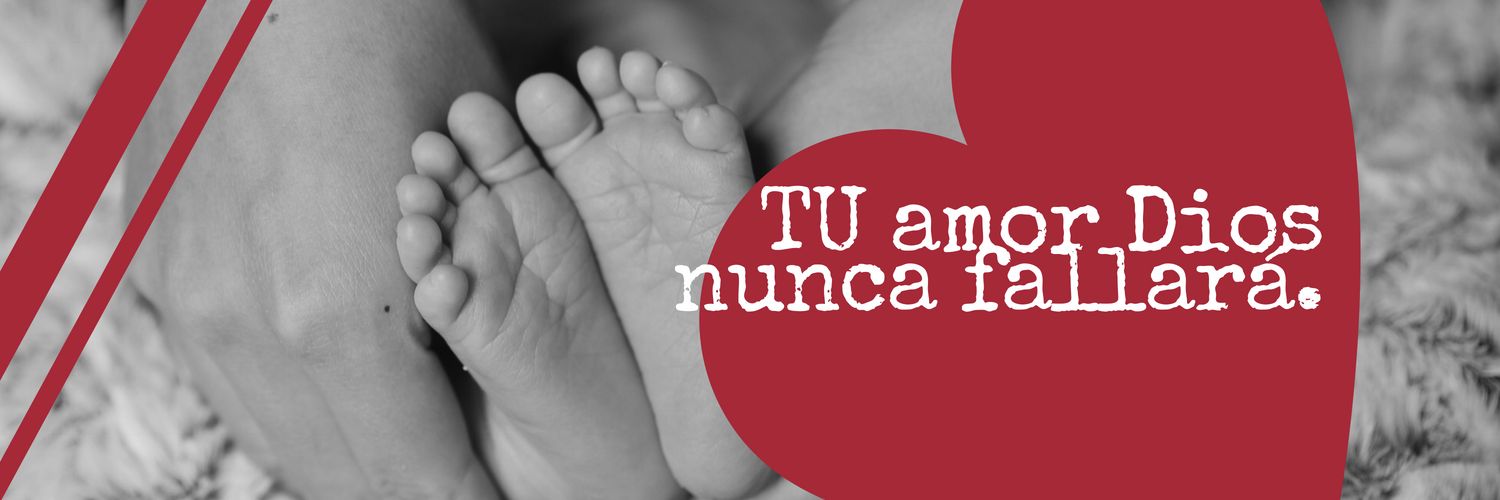 YsofiaChaparro's profile banner image