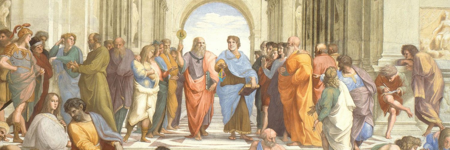 NftySeal's profile banner image