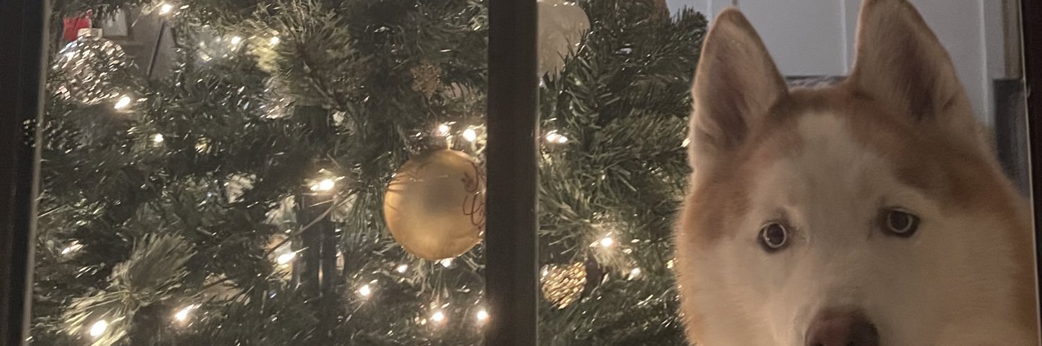 vmar66's profile banner image