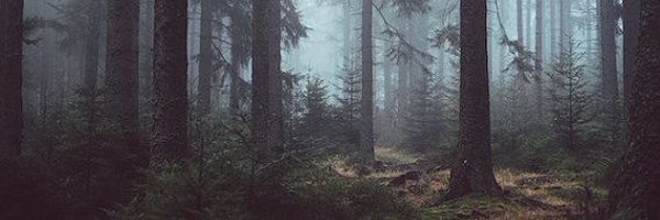 PeterHDukes Profile Banner