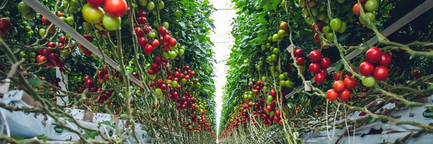 GrowLiv Biologicals Ltd banner