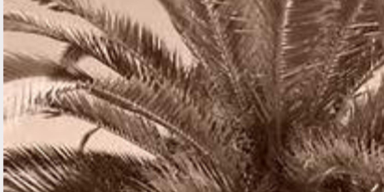 689Bour's profile banner image