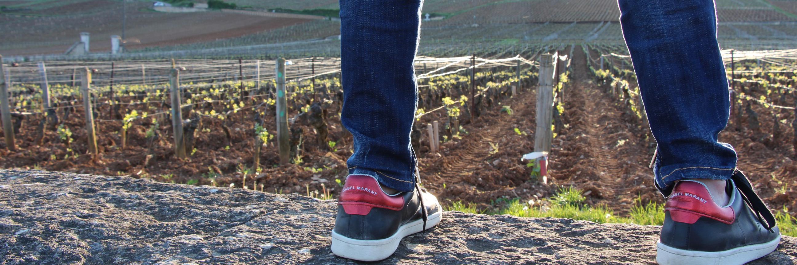 Caroline Styne banner