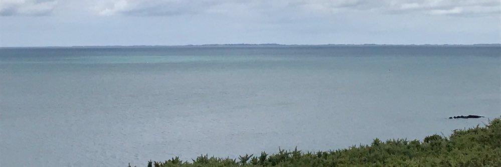 Cécile Favre banner