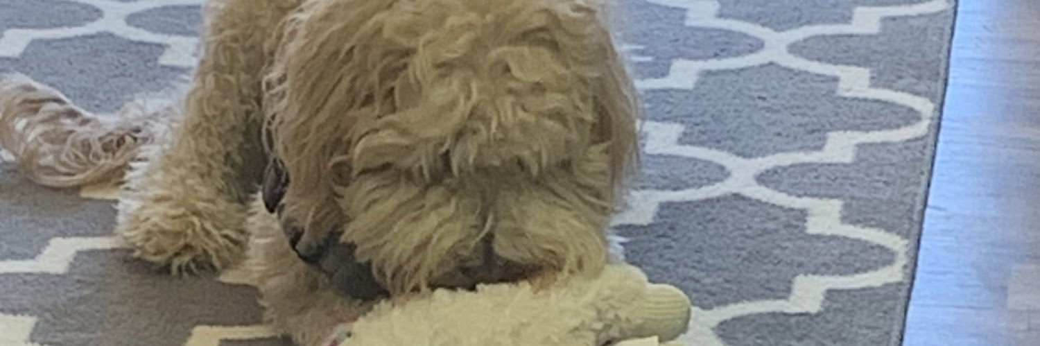bruMacbee's profile banner image