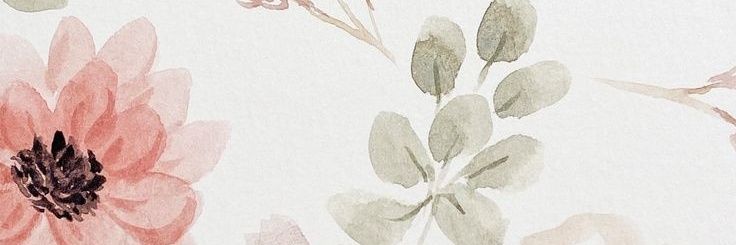 birulgendis's profile banner image
