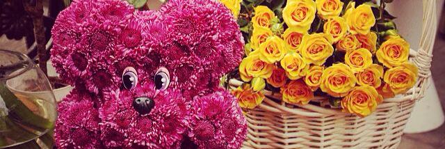 FloristBears's profile banner image