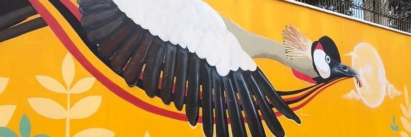 tanitris's profile banner image