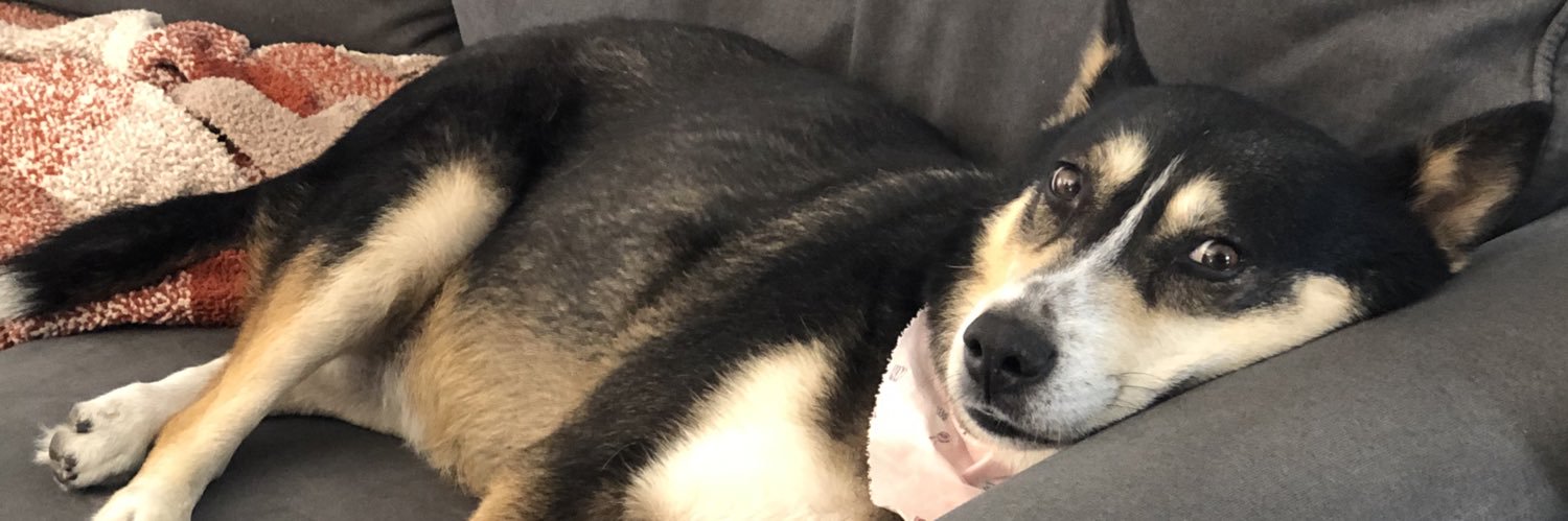 niiicoooleee's profile banner image