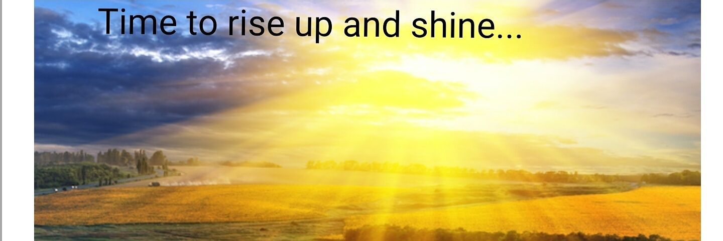 TrudyAngeloni's profile banner image