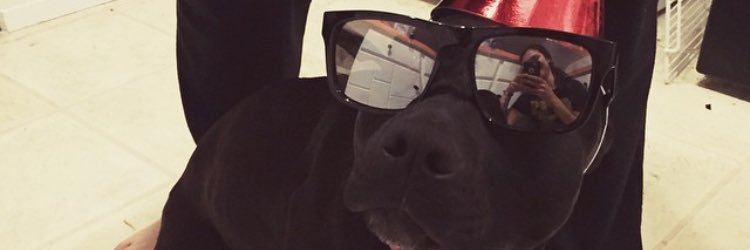 cocopvff's profile banner image