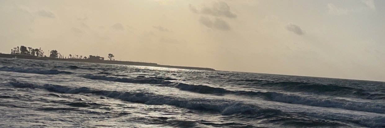 Elashkar__'s profile banner image