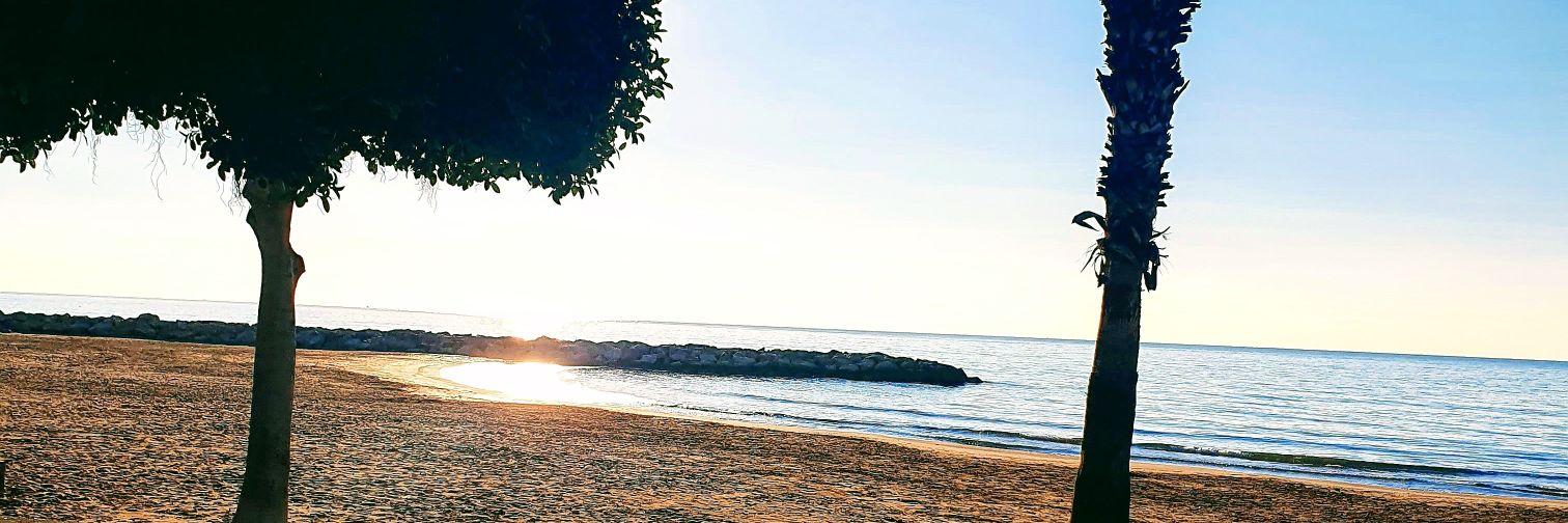 198mireia's profile banner image
