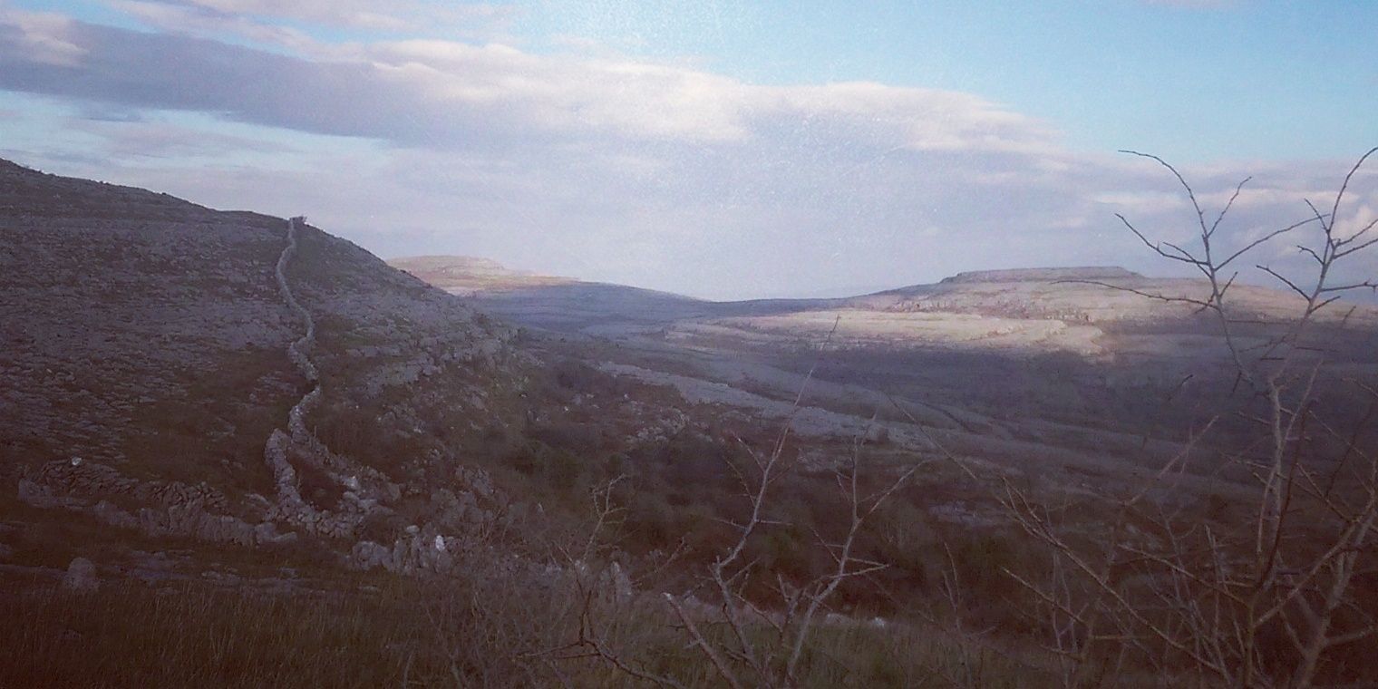 robbie mccauley banner