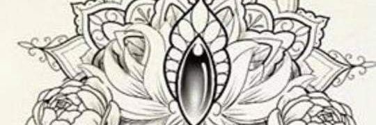 samantaalin22's profile banner image
