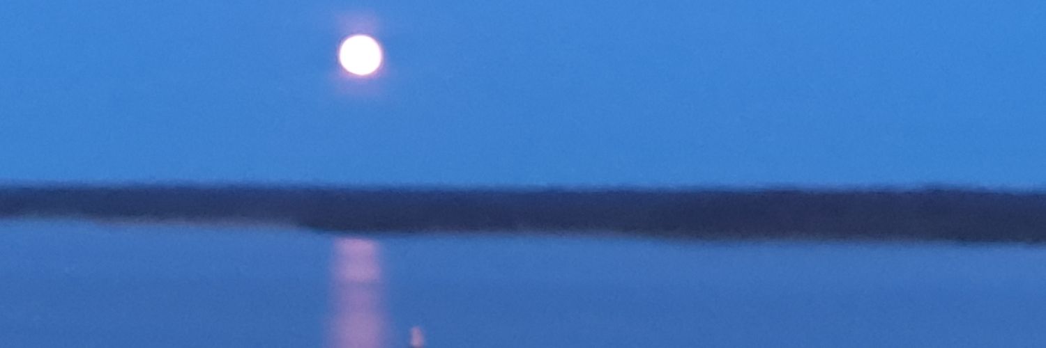 🏳️‍🌈Petter Rapp🏳️‍🌈 banner