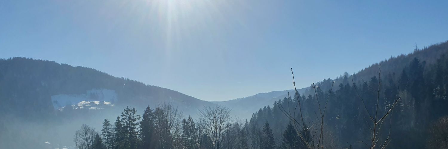mbiern's profile banner image