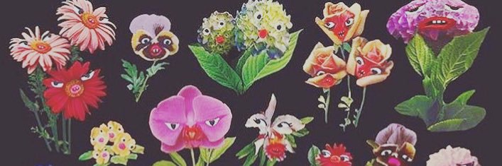 ojosrollsohard's profile banner image