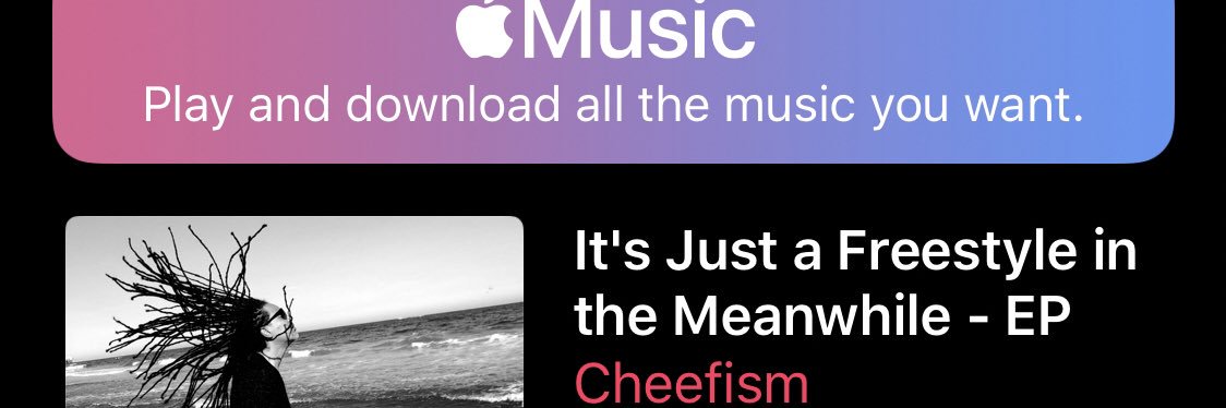 CHEEFISM's profile banner image