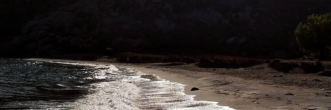 cananturn's profile banner image