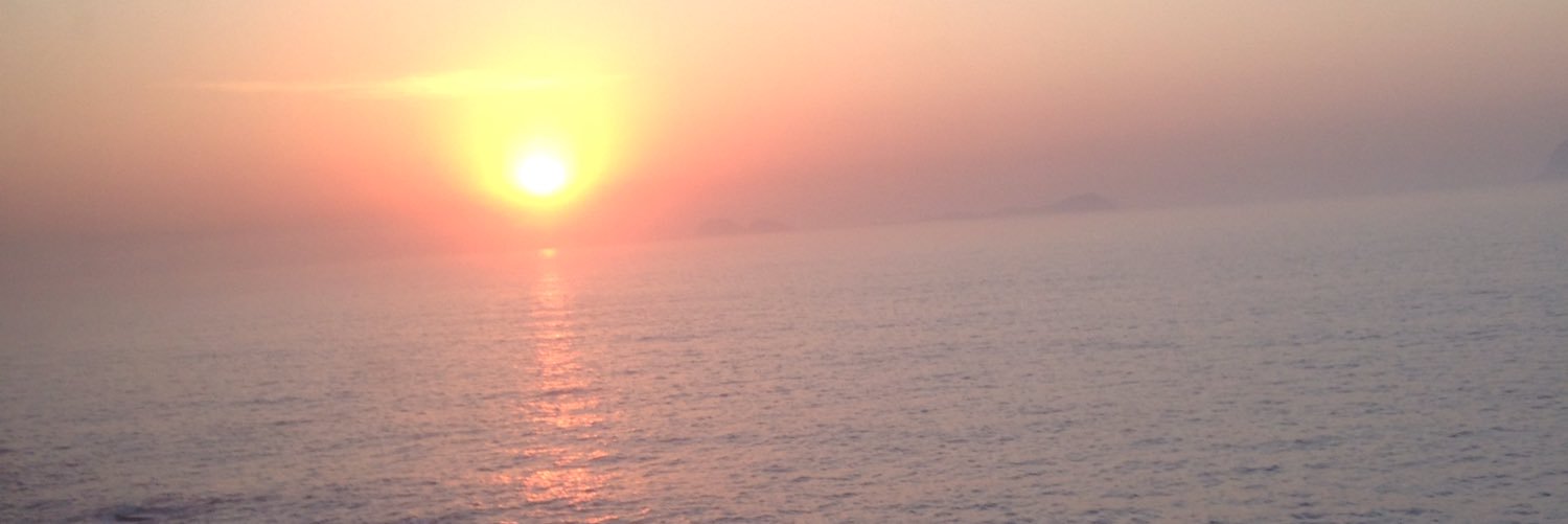 PhaSilvaa's profile banner image