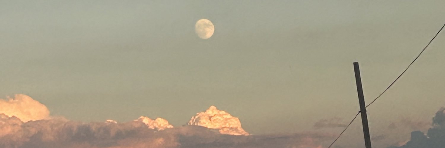 gspriddell3's profile banner image