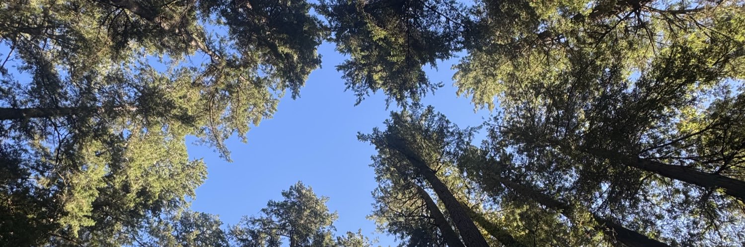 llubezz's profile banner image