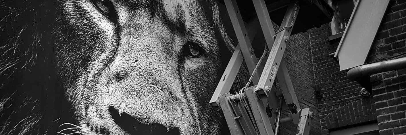 Hollander76's profile banner image