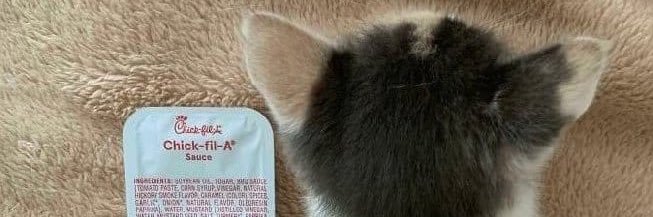 DIEGO 🇾🇪🏆 banner