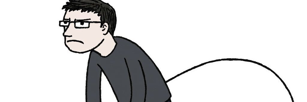 Robin banner