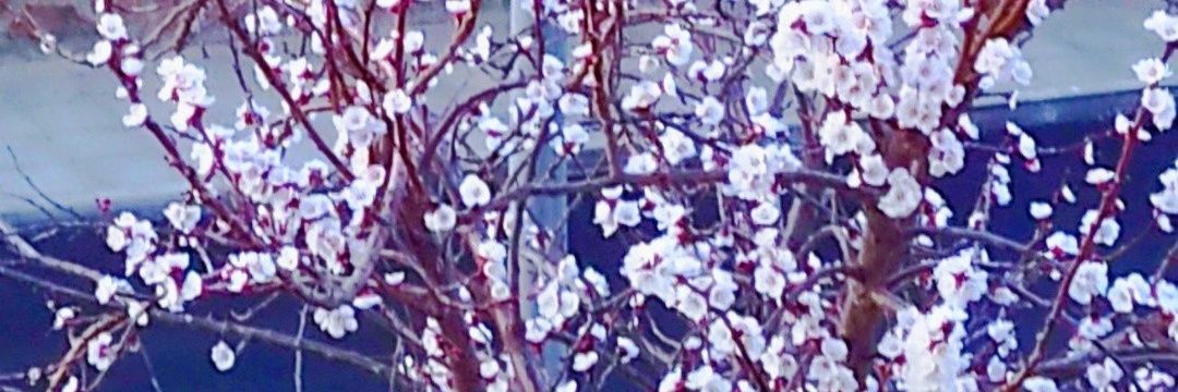 teregm71's profile banner image