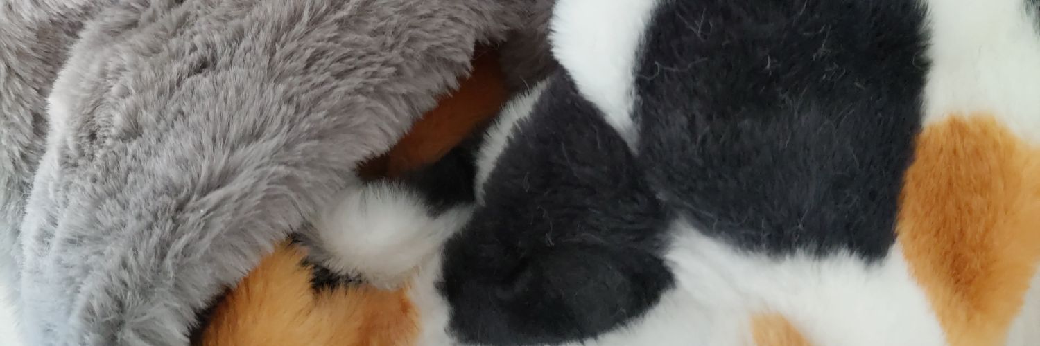 DandelionM5's profile banner image