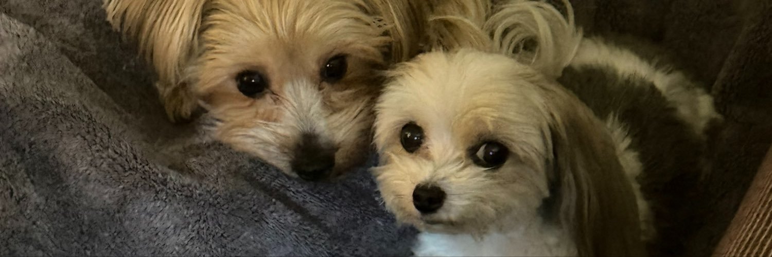 baiiee's profile banner image