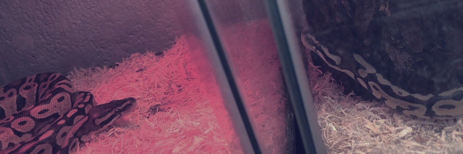 MumpowerN's profile banner image