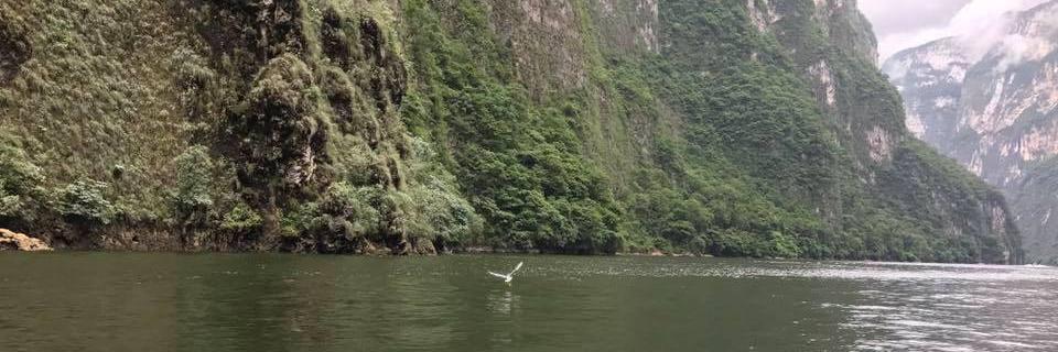 Myra Ann Houser banner