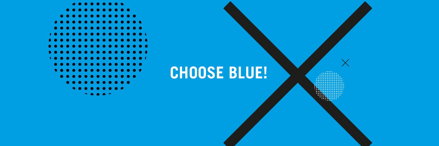 BlueFielders's profile banner image