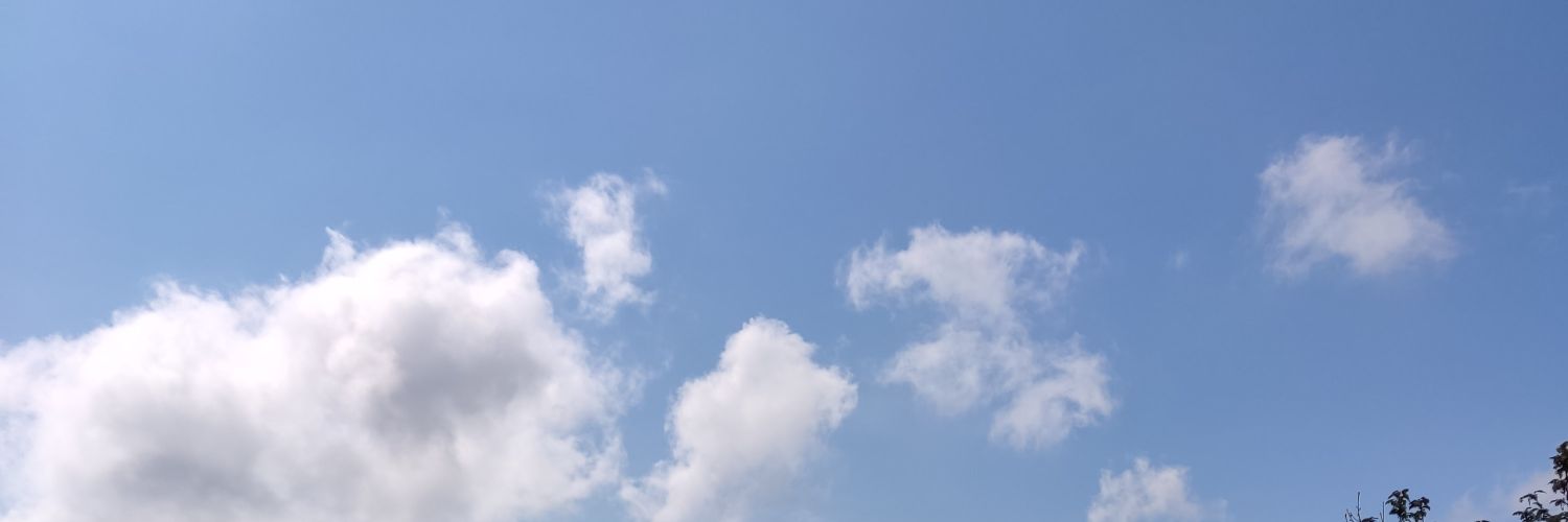 drznotme's profile banner image