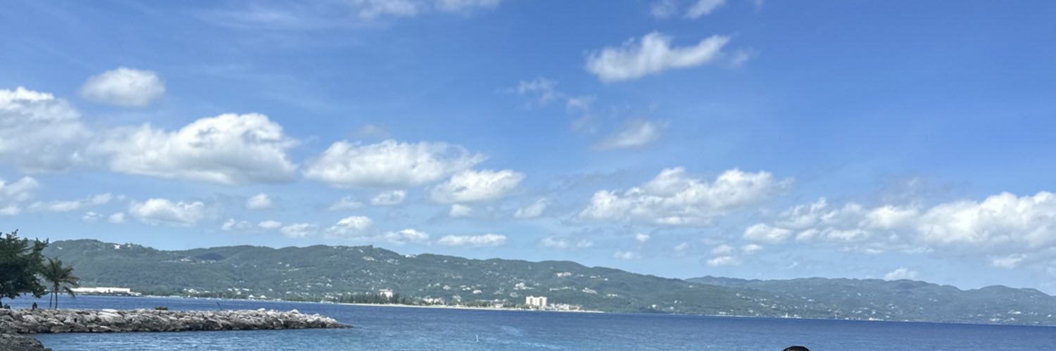 misslammm's profile banner image