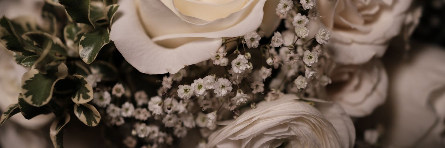 studioHholly's profile banner image