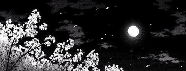 CarterToran's profile banner image