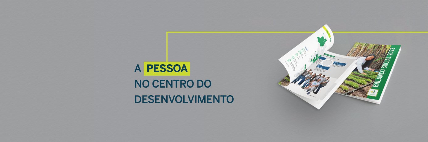 AVSI Brasil banner