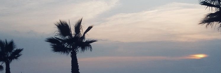 ashley nicole banner